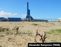 Береговая буровая установка "Ястреб", построенная в рамках проекта "Сахалин-1". 2013 год