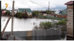 Амурская область. Вода уходит, зима приходит