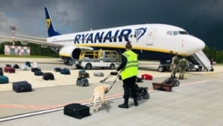 Самолет Ryanair в Минске