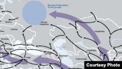 Карта распространения наркотиков в мире, составленная по данным ООН