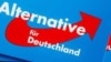 "Альтернатива для Германии" провела так называемый "Российский конгресс"