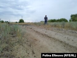 Противопожарная полоса в степи в Ростовской области