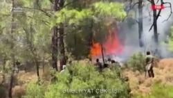 Yardımlı və Masallıda yanğın: 'Camaat özü də kömək edir'